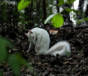 2016 06 11 WildLife MPLS 078